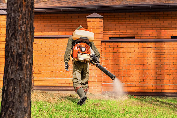 Bed Bug Clearance Verification and Documentation in Granite Shoals